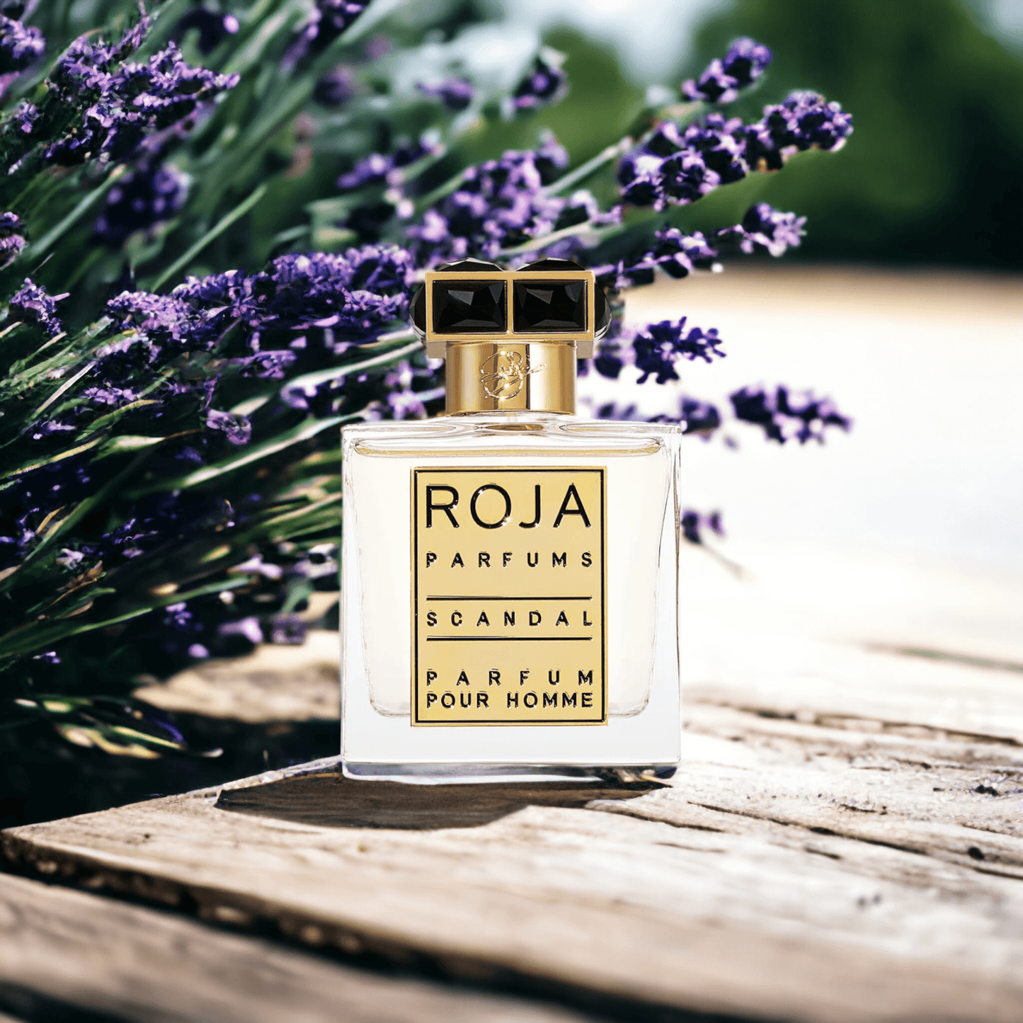 ROJA PARFUMS SCANDAL EXTRAIT 4ML DECANT - DIVINE SCENTS NZ